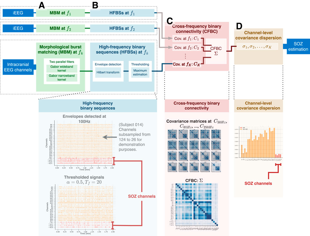 Connectivity of high-frequency bursts as SOZ localization biomarker